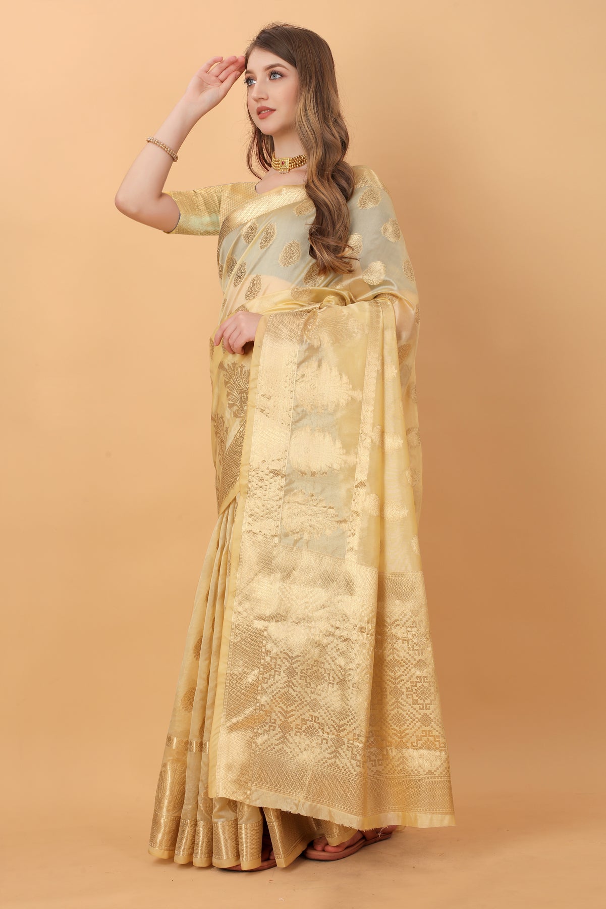 Cream Soft Organza  Silk Banarasi Saree