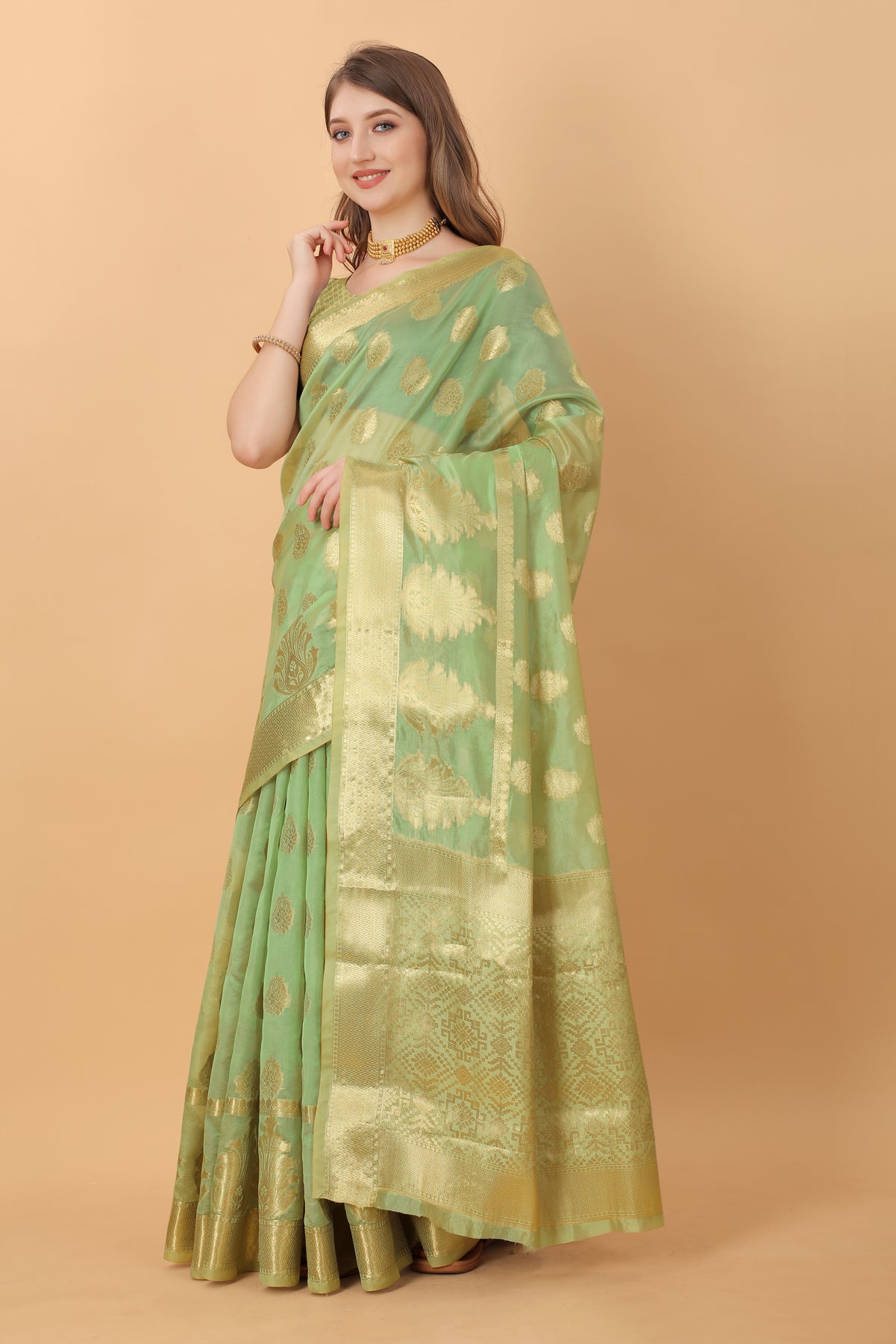 Green Soft Organza  Silk Banarasi Saree