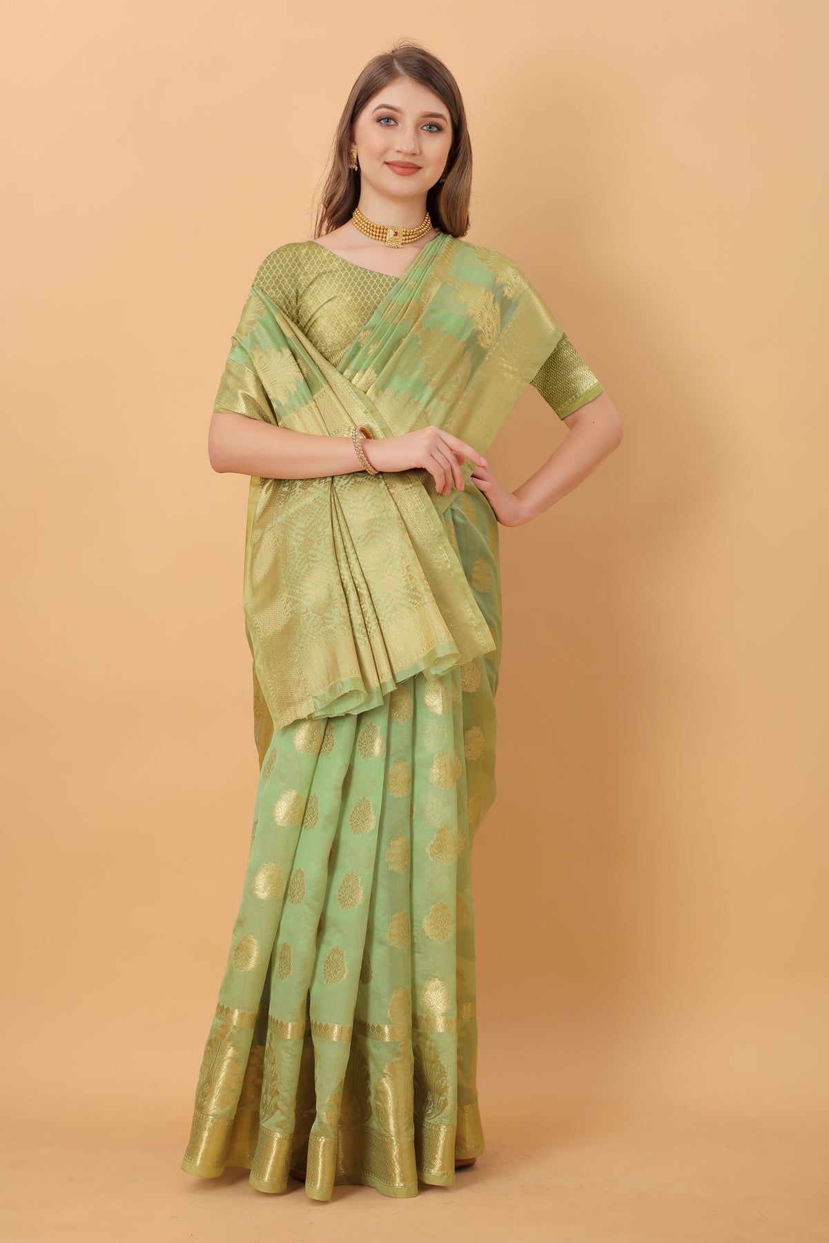 Green Soft Organza  Silk Banarasi Saree