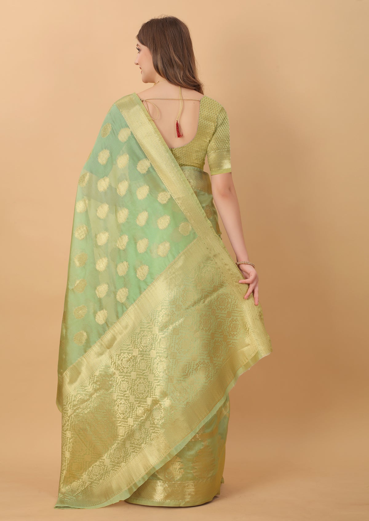 Green Soft Organza  Silk Banarasi Saree